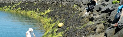 Riprap cleaning